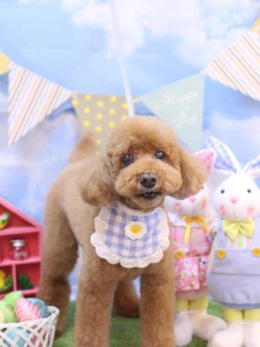 20240303レオくん